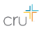 Digital Products and Strategies Projects for Cru